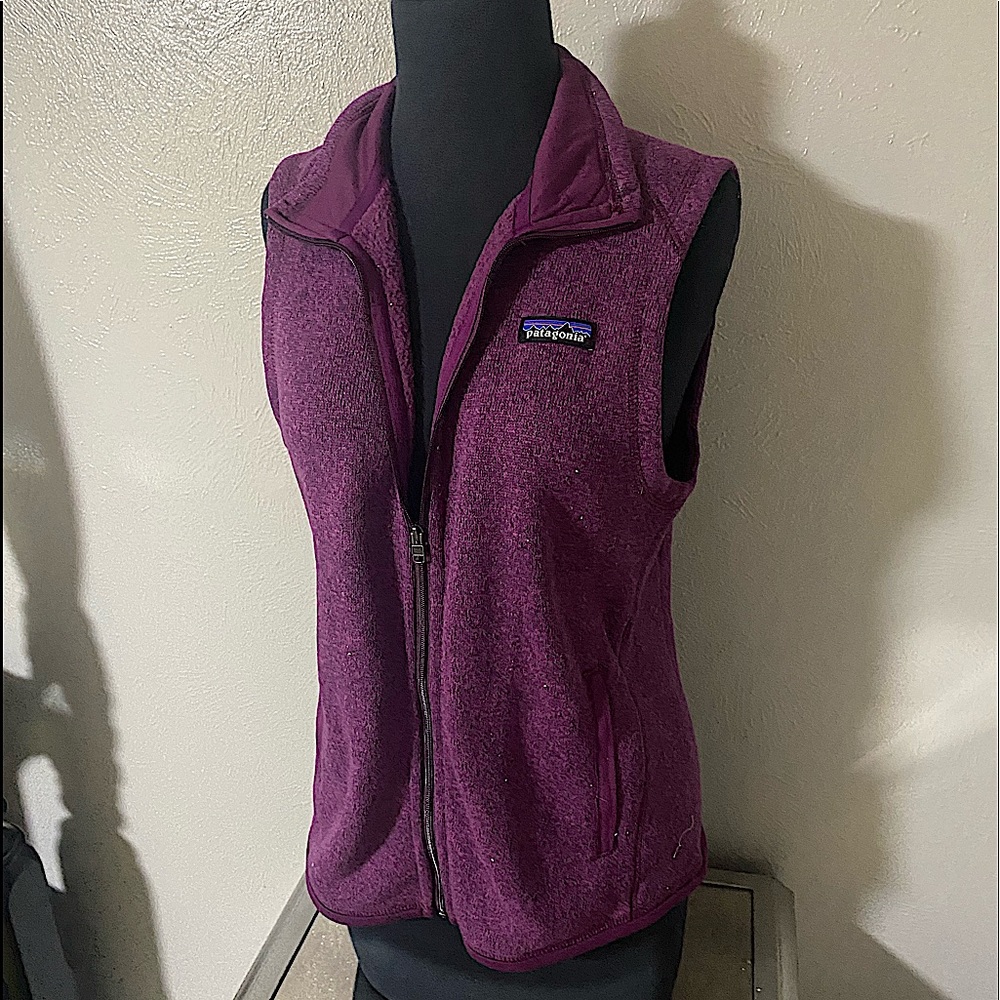 BRAND NEW PLUM PATAGONIA VEST